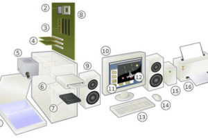 Global Computer Peripheral Equipment Market