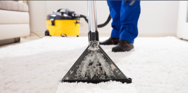 carpet shampoo cleaning service