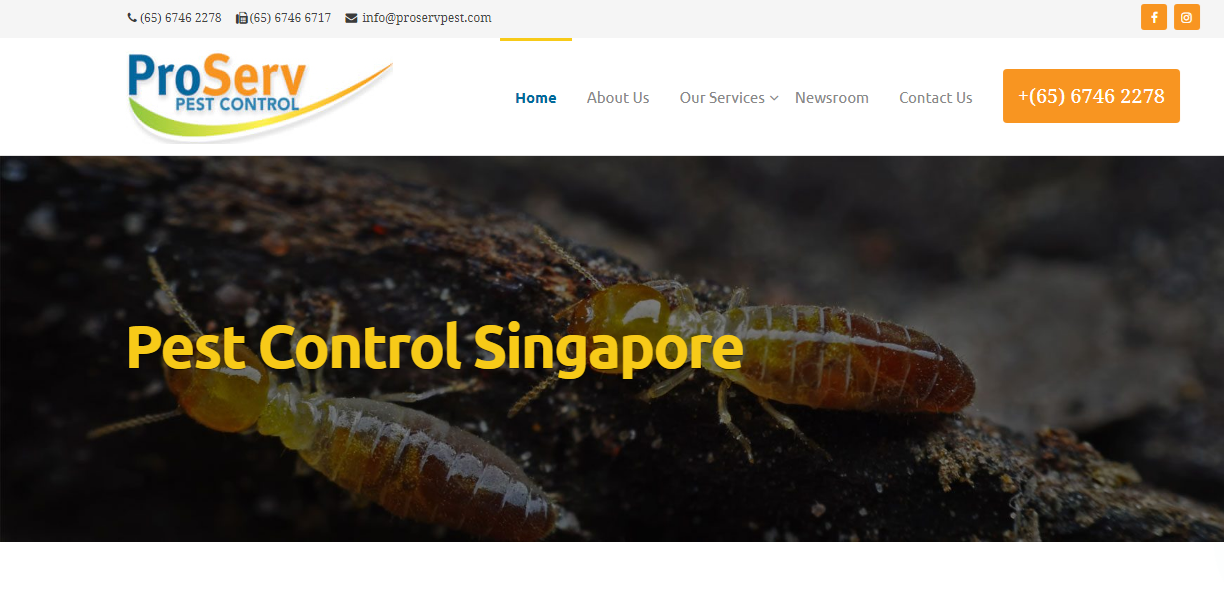 Pest Control in Singapore