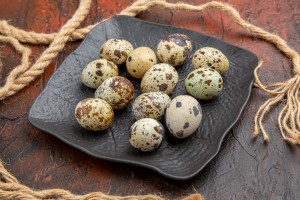 quail eggs providers
