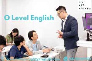 o level english tuition