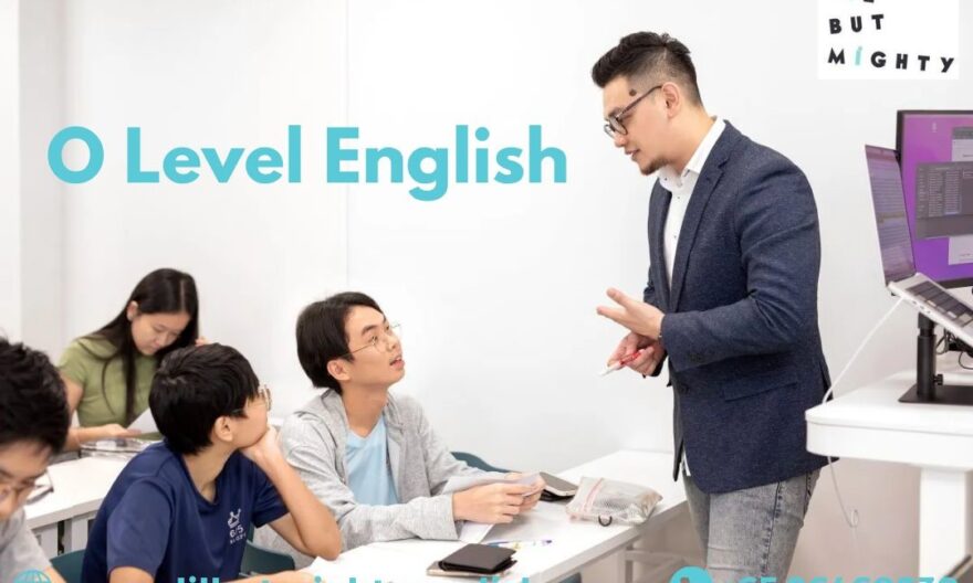 o level english tuition