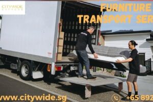 furniture transport service